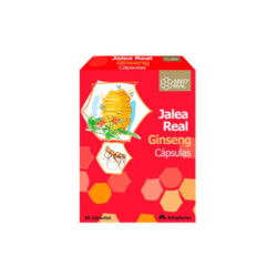 Arko Dynergie Jalea-Gins 20 Ampollas
